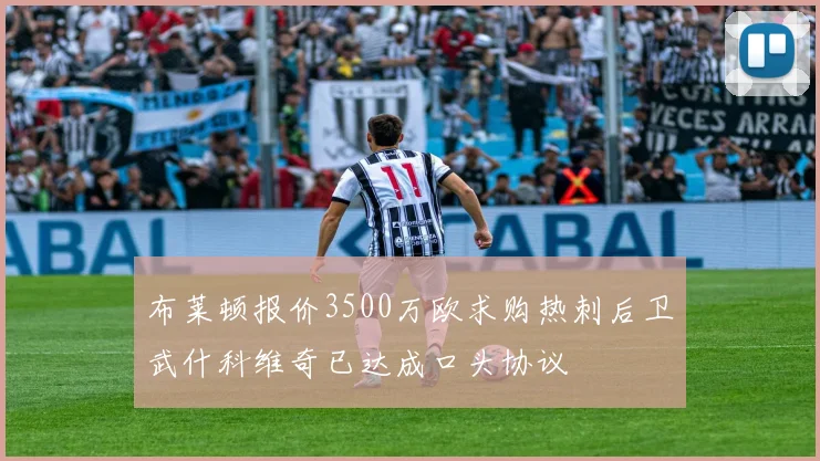布莱顿报价3500万欧求购热刺后卫武什科维奇已达成口头协议